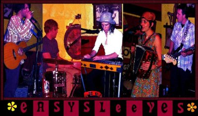 Easysleeves