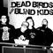 Dead Birds and Blind Kids