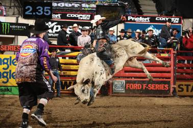 The bulls to beat at this year's World Finals