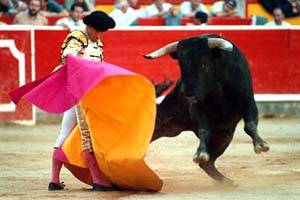 Bloodless bullfighting at The South Point Equestrian Center