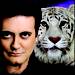 The Magic & Tigers of Rick Thomas at Saxe Theater