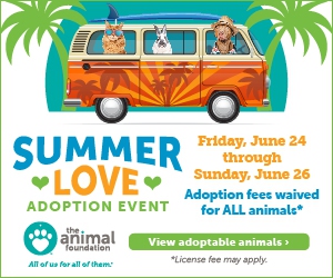 Events Calendar - Summer Love Adoption Event - Las Vegas Weekly