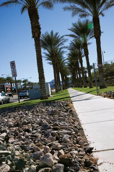 A palm tree-dotted sidewalk flanks a peaceful Green Valley Ranch street in Henderson, recently named one of America’s 10 most boring cities by Forbes.

