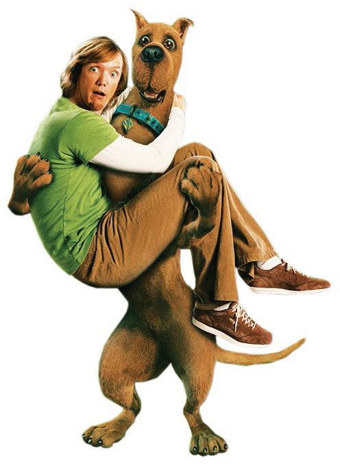 Oh, the shame. We actually liked Scooby Doo 2.
