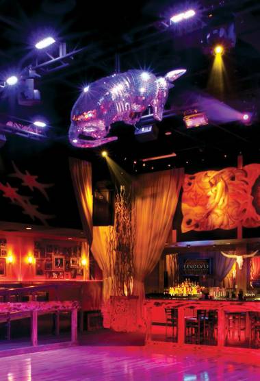 Hands down, Vegas’ hottest armadillo-shaped disco ball.