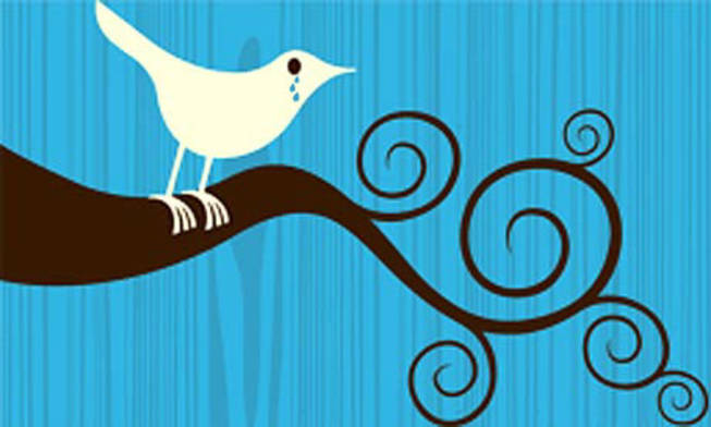 sad Twitter bird