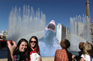 Shark photo-bombing tourists.