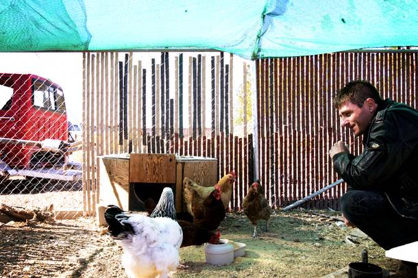 Vadim Bolotsky hangs out with his chickens in the backyard of his home in Pahrump November 11, 2010.