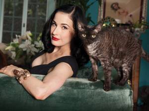 Let there be Dita: Miss Dita Von Teese lounges in her LA home with Aleister the cat.
