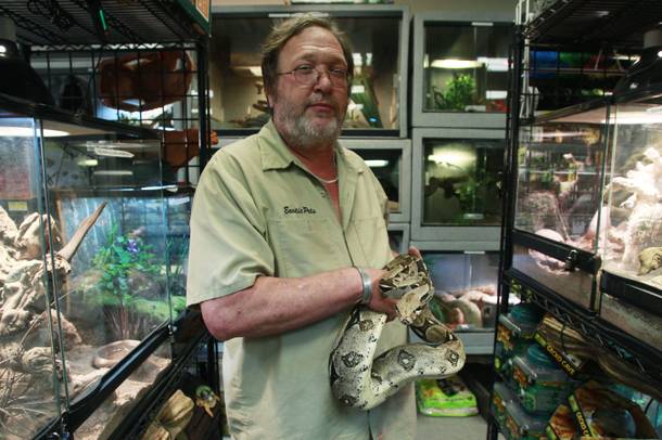 Owner Kevin Foose holds a snake at his Exotic Pets store in Las Vegas. Foose has decades of experience working with exotic animals and says he has about 1,000 animals living in his home.