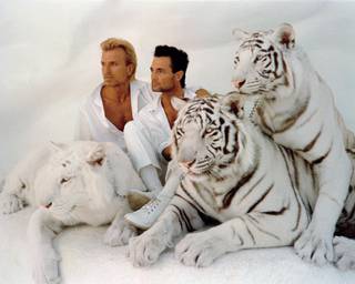 Former Strip headliners Siegfried & Roy entertained Strip audiences for decades. John Katsilometes' follow-up report 10 years after Roy's unfortunate incident with the duo's white tiger, Montecore, made the Weekly's Top 10 most-read stories of 2013.