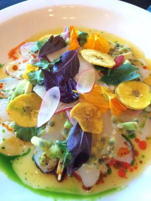 Chef James Trees' snapper ceviche was a standout appetizer at MTO Café's Mexican-themed Sunday Night Supper Series event on April 27.