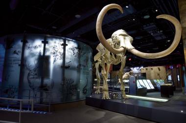History concealed? The greatness of the Nevada State Museum deserves a little more love.