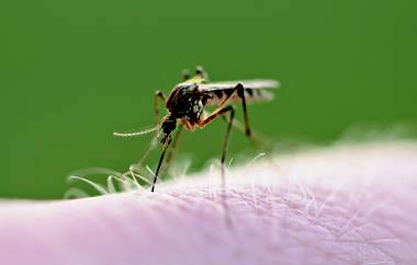 West Nile Virus-positive mosquitos have been found in eight local zip codes.