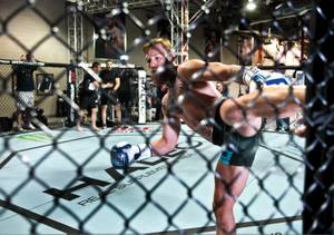 Elegant machine: Conor McGregor trains at a UFC gym.