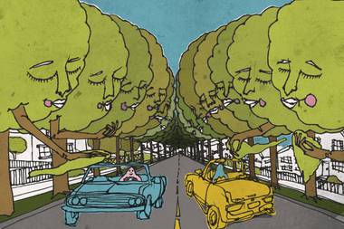 A 2010 study indicated that planting trees near streets can reduce drivers’ stress.