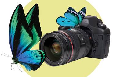If you’ve always wanted to get into photography as a hobby, we’ve covered the basics for you here.