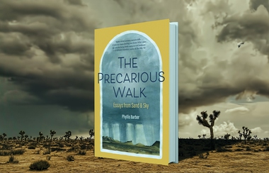 ‘The Precarious Walk: Essays From Sand & Sky’