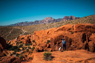 Whether by car, foot, mountain bike or rock climb, Red Rock’s natural beauty never fails to provide a refuge from urban life.