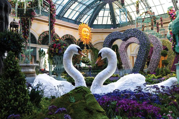 In Bloom at Bellagio Gallery of Fine Arts