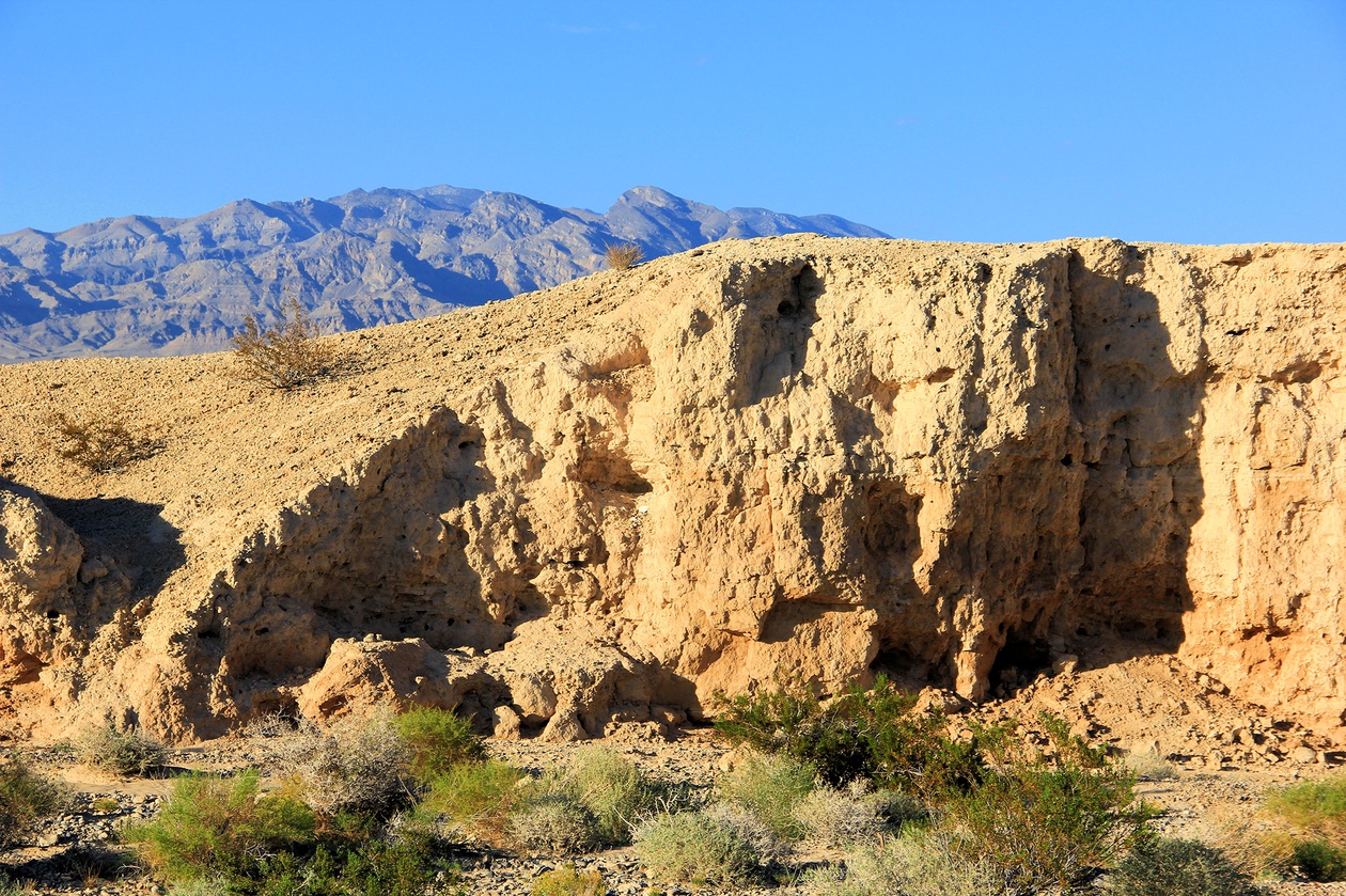 A $42 million investment announced earlier this month by Gov. Joe Lombardo and the Conserve Nevada Program is heading into the next phase ...