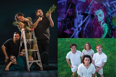 (From left clockwise) Secos, Desert Island Boys and Flamingos in the Tree