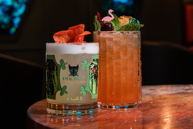 The Monstera Mash and Neon Flamingo.