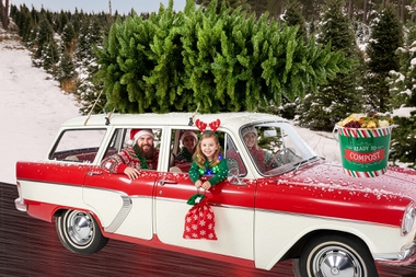 Lose the gift wrap and invest in energy-efficient decorations this year.