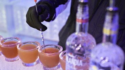 Ice, Ice, Party