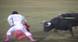 Velcro Bullfighting 
