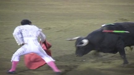 Velcro Bullfighting 