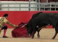 Bullfighting: Fear As Art
