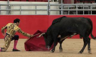 Bullfighting: Fear As Art