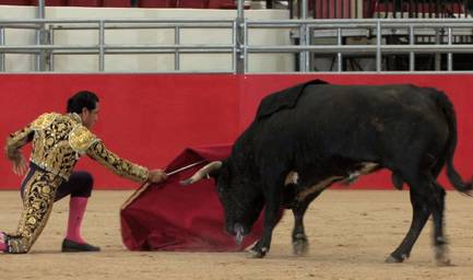 Bullfighting: Fear As Art