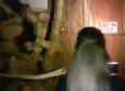 The Search for Real Paranormal Activity
