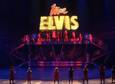 Viva Elvis