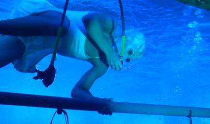 Le Reve: Diving the Dream