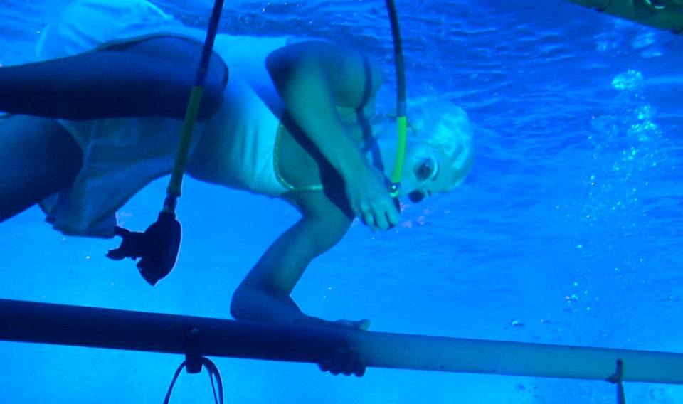 Le Reve: Diving the Dream
