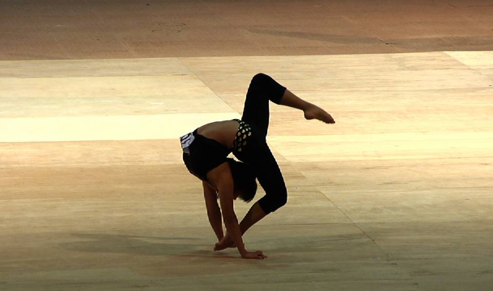 Cirque Du Soleil Auditions
