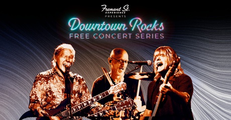 Downtown Rocks: Zebra