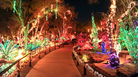 Ethel M Chocolates’ 32nd Annual Holiday Cactus Garden Lights