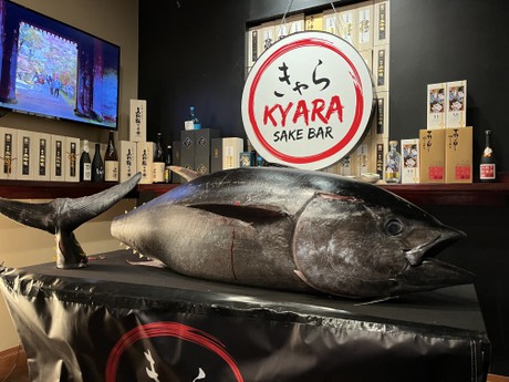 Bluefin Tuna Cutting Experience at Omakase Kyara Sake Bar