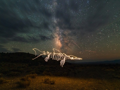 The Neon in Nature Series, Presented by Travel Nevada