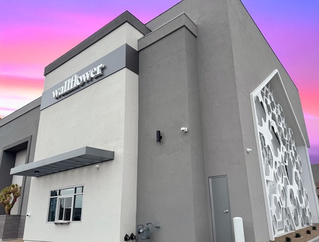 Wallflower Cannabis House Inspirada 1-Year Anniversary Block Party