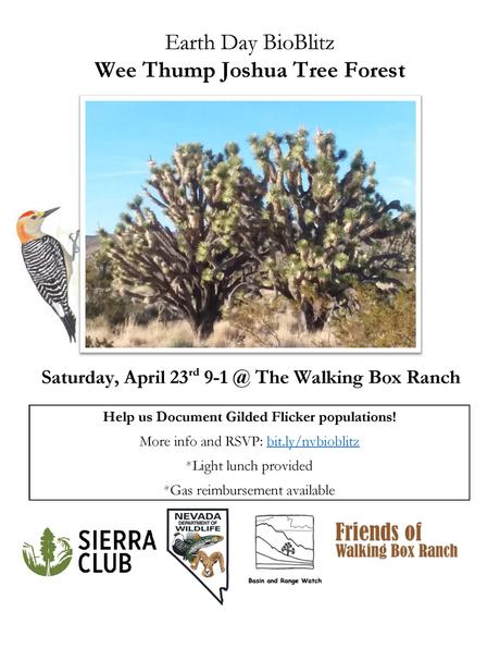 Earth Day Bio Blitz