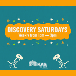Discovery&nbsp;Saturdays