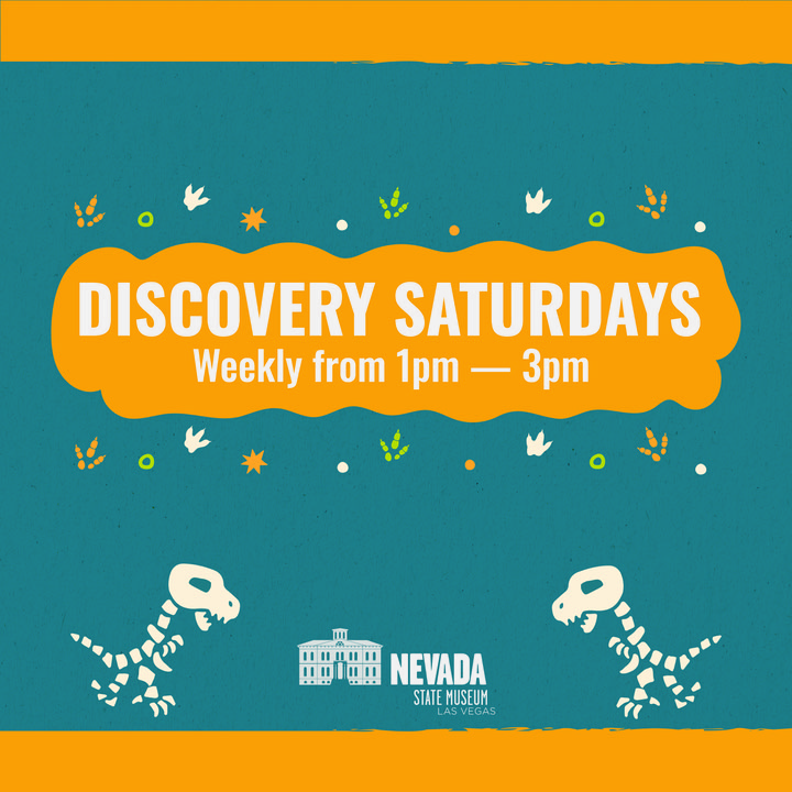 Discovery&nbsp;Saturdays