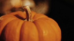 Halloween&nbsp;Pairing