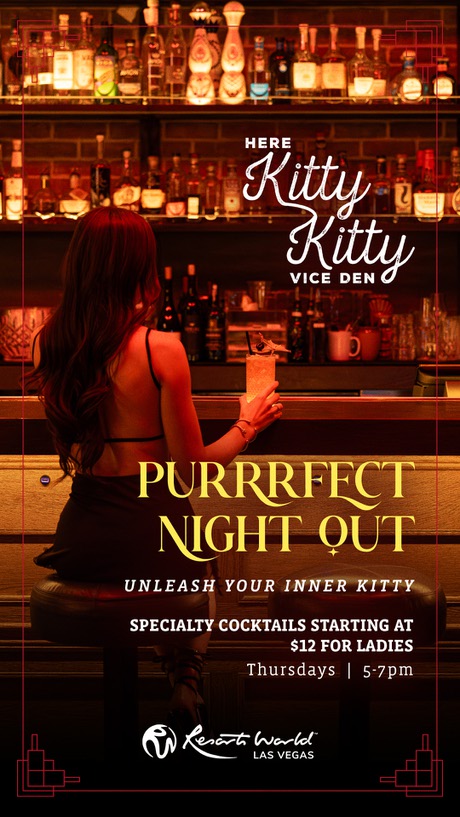 Purrfect Night Out at Here Kitty Kitty