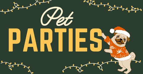 Pet Photos with Santa at The District at Green Valley Ranch